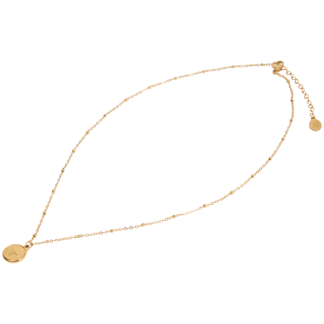 Collier en acier inoxydable Royal Divas 7