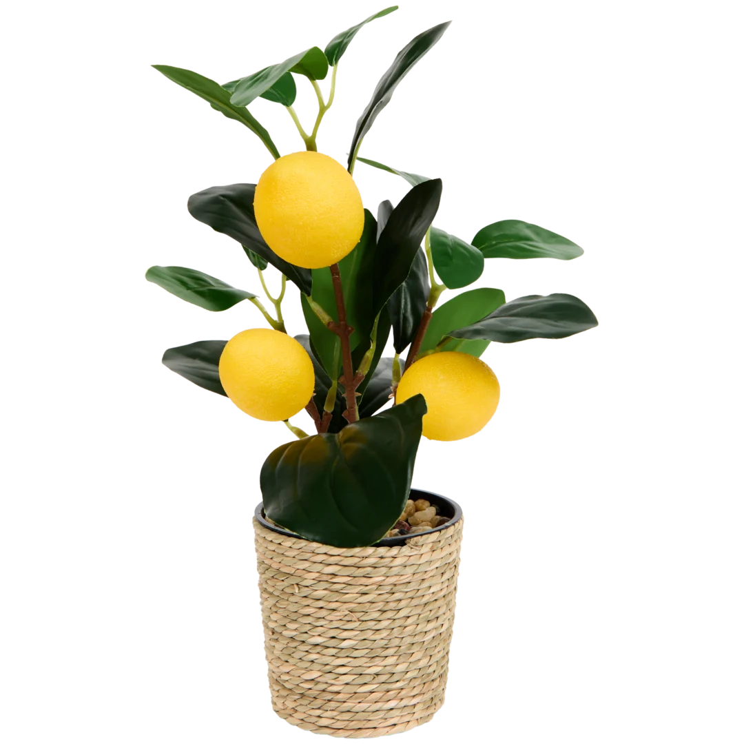 Home Accents kunst citrusboom 1