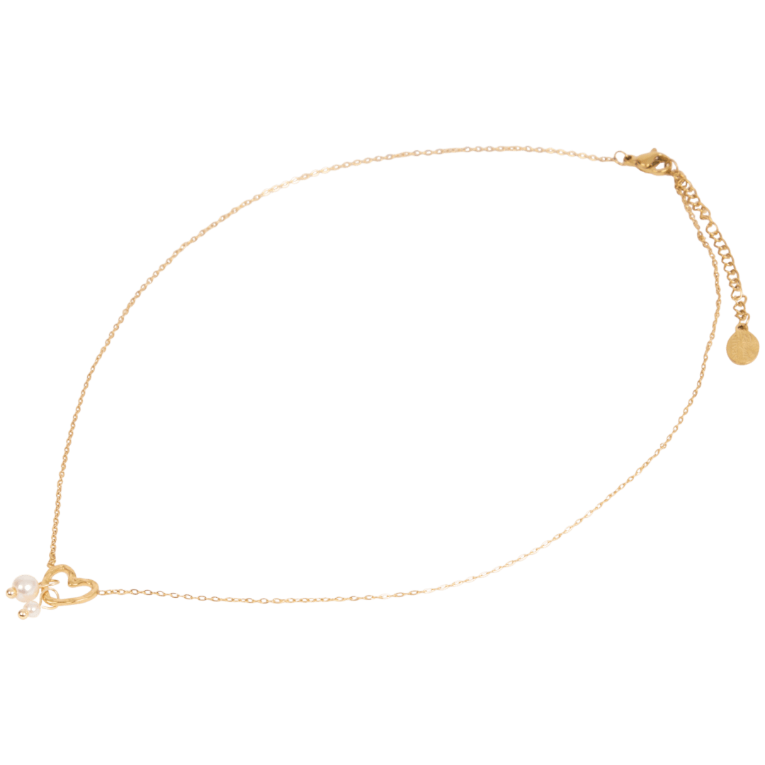 Collier en acier inoxydable Royal Divas 10