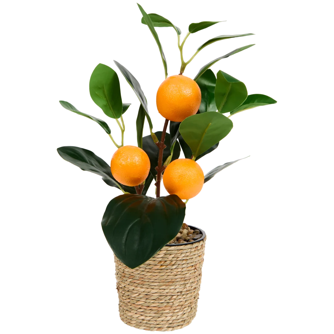 Home Accents kunst citrusboom 2