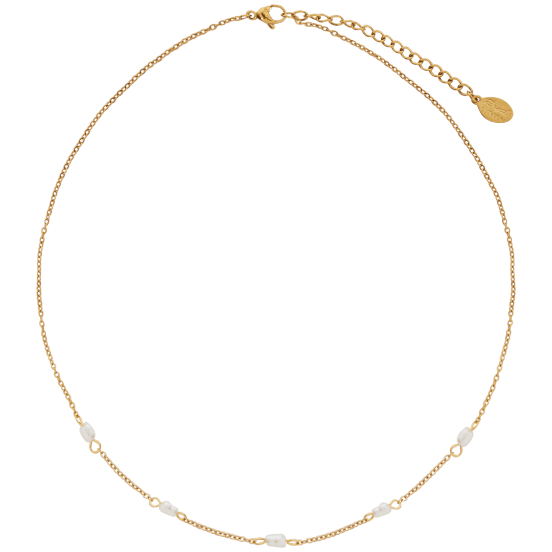 Collier en acier inoxydable Royal Divas 5