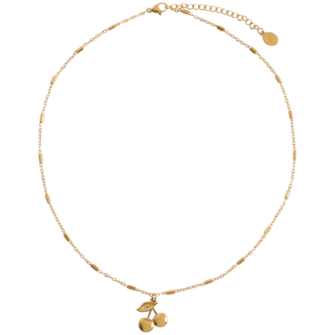 Collier en acier inoxydable Royal Divas 2
