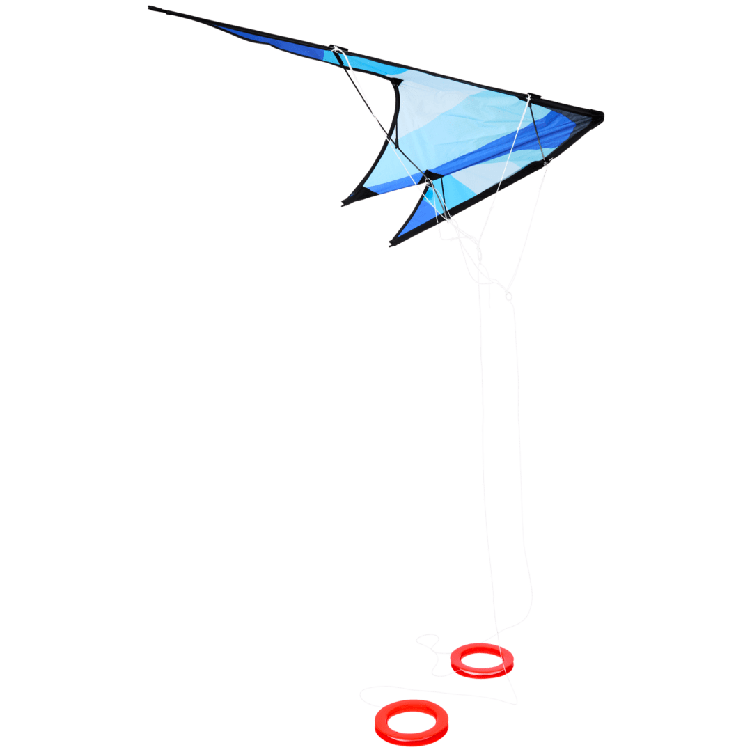 Latawiec wyczynowy 2