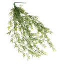 Navigate to image