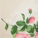 Navigate to image