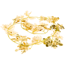 Navigate to image