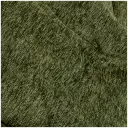 Navigate to image