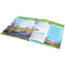 Navigate to image