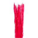 Navigate to image