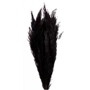 Navigate to image