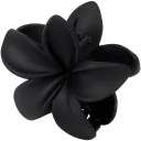 Navigate to image