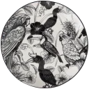 Navigate to image