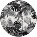 Navigate to image