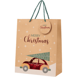 Sac cadeau en kraft | Action FR