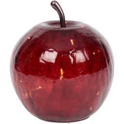 3.08 Pomme en verre avec guirlande lumineuse de 20 LED