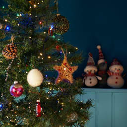 Weihnachtsbäume
