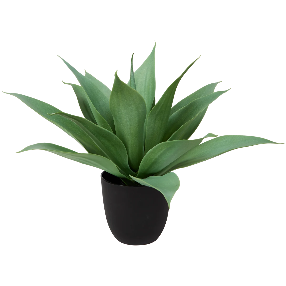 Agave artificiel