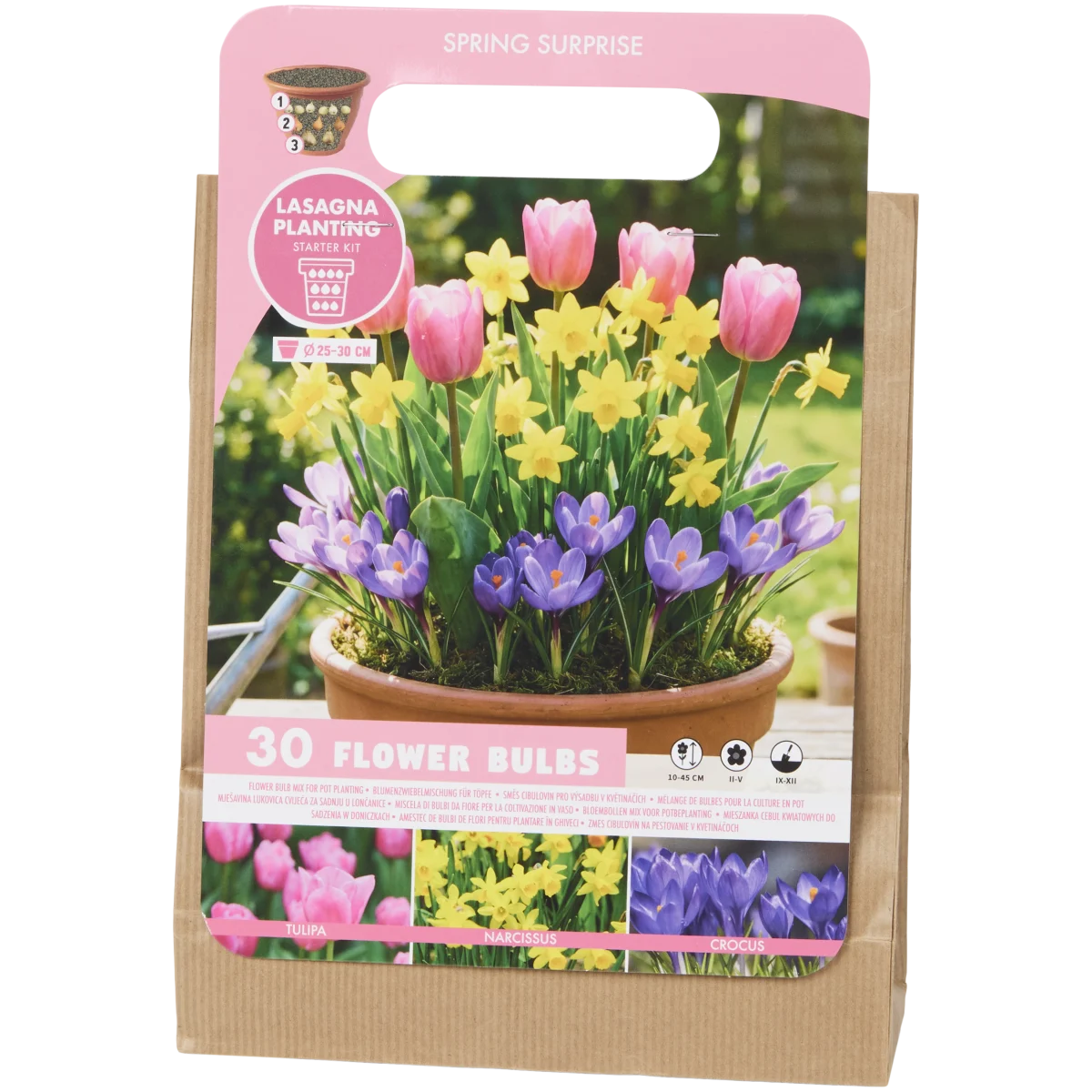 Bulbes de fleurs